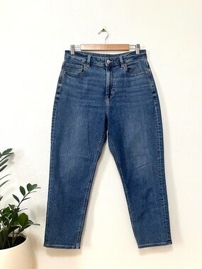 american eagle high rise mom jean ae 10 short blue denim